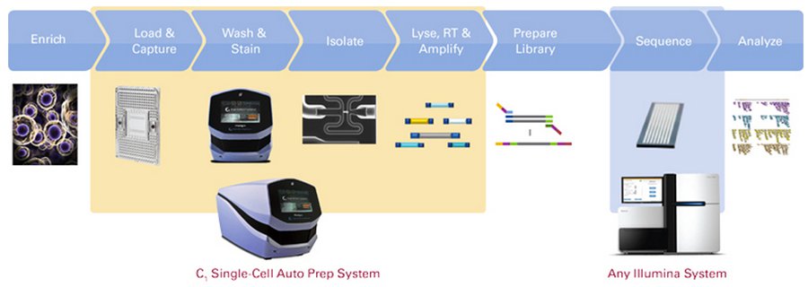 SINGLE -CELL GENE -EXPRESSION ANALYSIS BY QUANTITATIVE